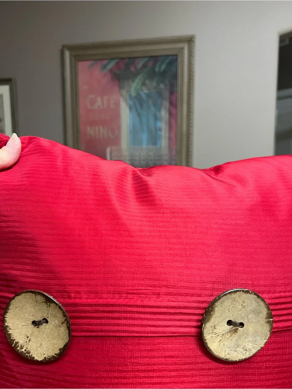 THRO by Marlo Lorenz Two Red Decorative Feather Pillows